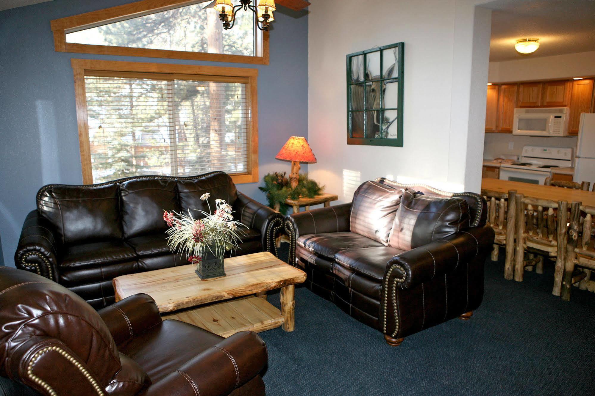 Timber Creek Chalets 埃斯蒂斯帕克 外观 照片